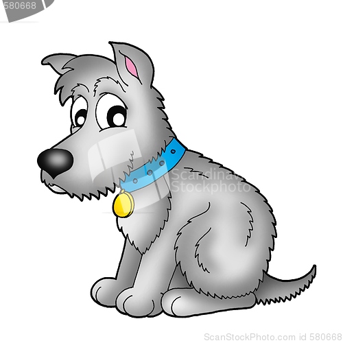 Image of Cute grey dog