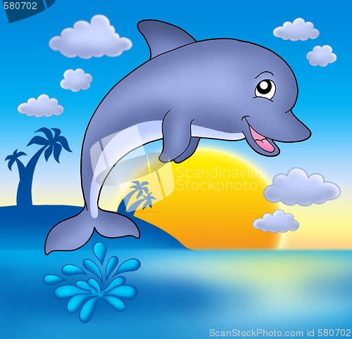 Image of Cute dolphin with sunset