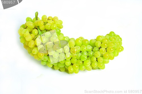 Image of Grape