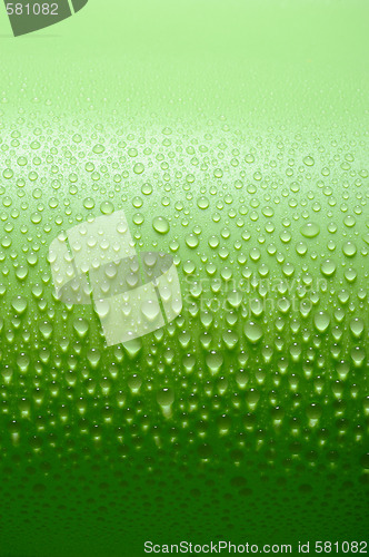 Image of Water drops