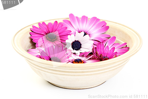Image of floating flowers