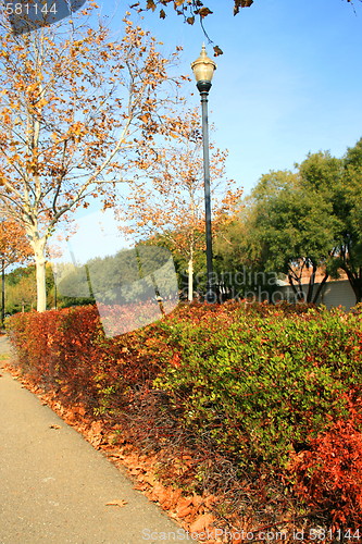 Image of Park During Fall Season