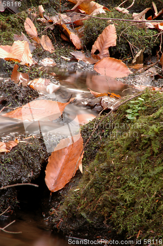 Image of stream 553