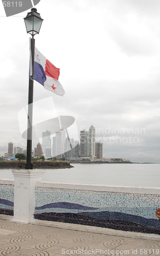 Image of panama 617