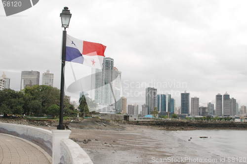 Image of panama 621