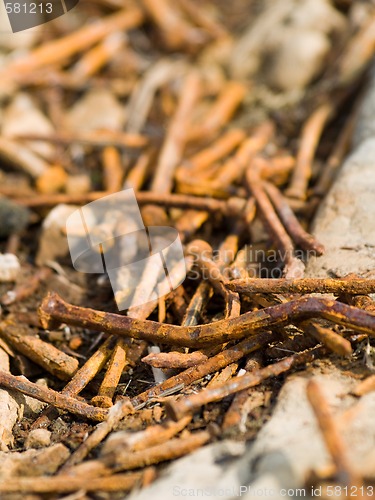 Image of Rusty Nails