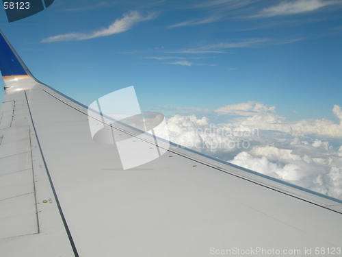Image of panama 551