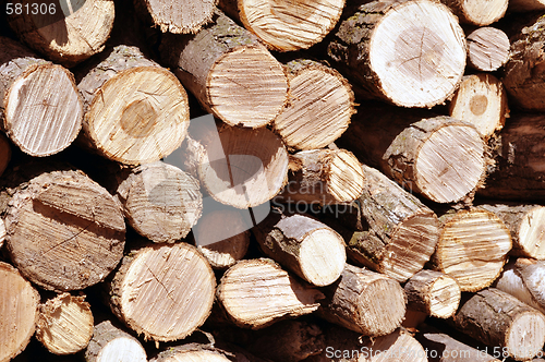 Image of stack of firewood 