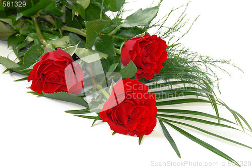 Image of Red roses