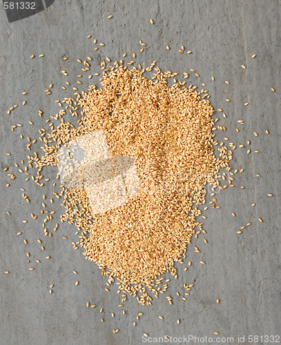 Image of Wheat over gray background
