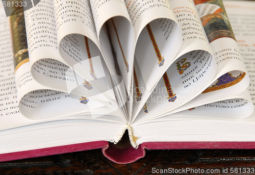 Image of Book pages flower