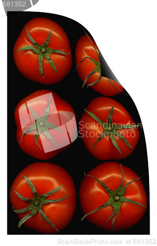 Image of tomatoes curl distortion