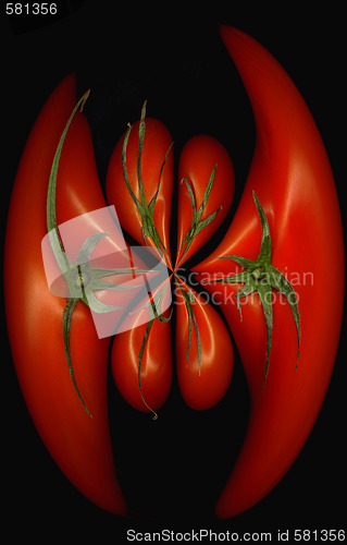 Image of tomatoes distortion