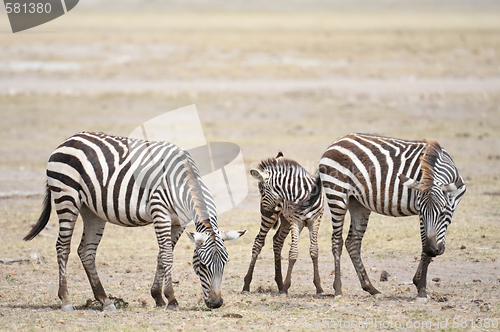 Image of Happy  family