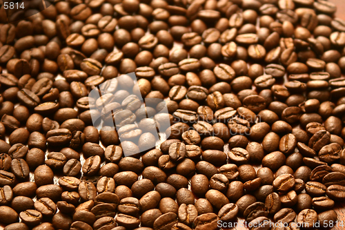 Image of Just coffee beans
