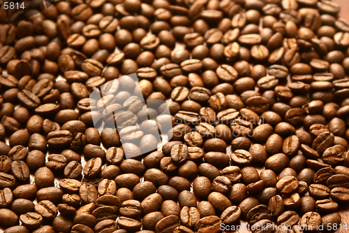 Image of Just coffee beans