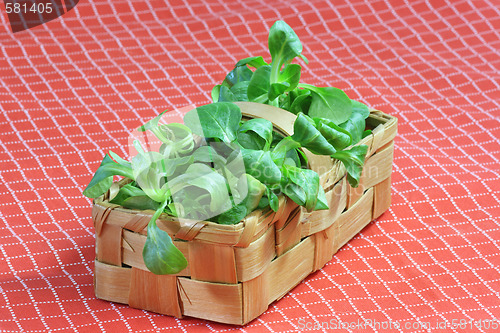 Image of Corn salad