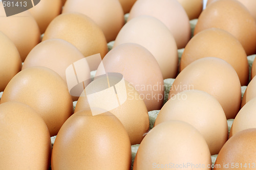Image of Brown eggs