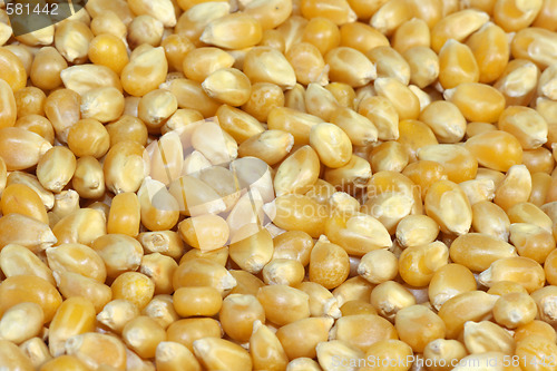 Image of Dried corn