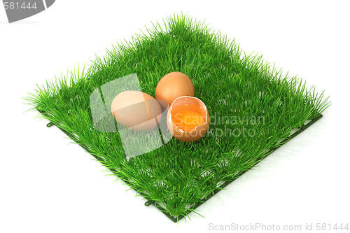 Image of Decorative brown eggs