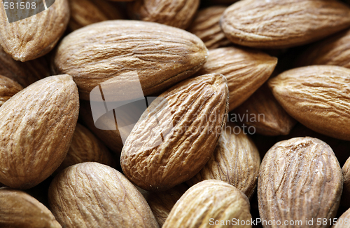 Image of almonds