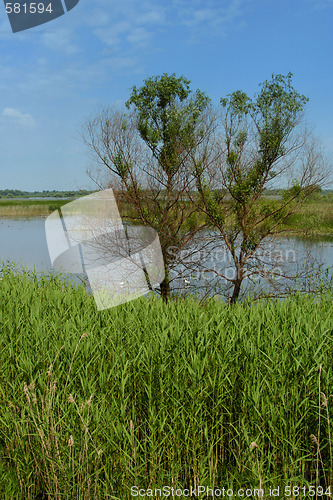 Image of Danuber Delta - Romania