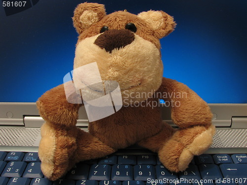 Image of Teddy bear on the laptop