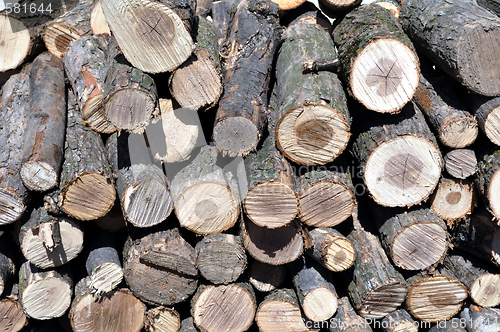 Image of stack of firewood