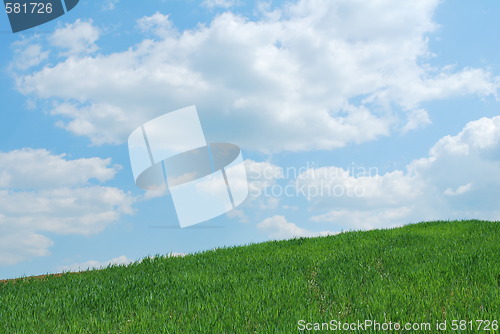 Image of Sky And Grass