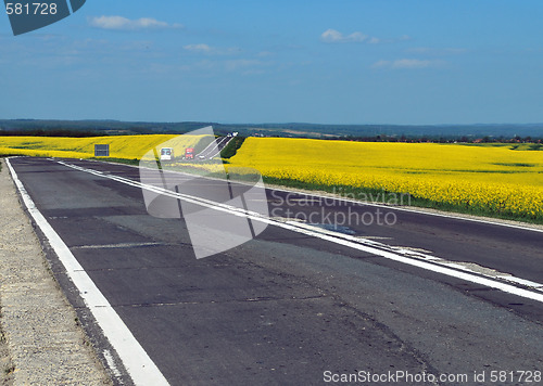 Image of Yellow Field