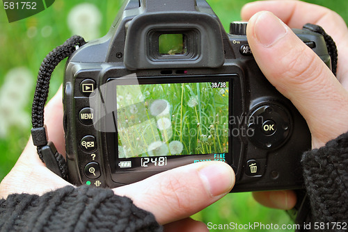 Image of Camera Display With Plants