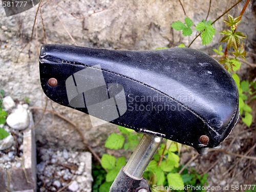 Image of saddle