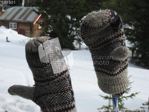 Image of Mittens against the snow