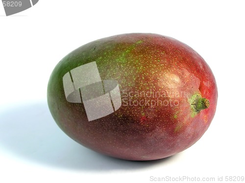Image of mango