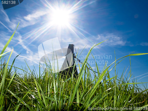Image of Beautiful fresh grass at spring