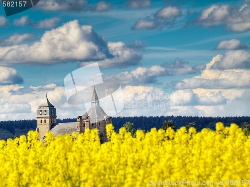 Image of Colza field and church