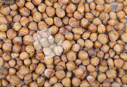 Image of hazel nuts