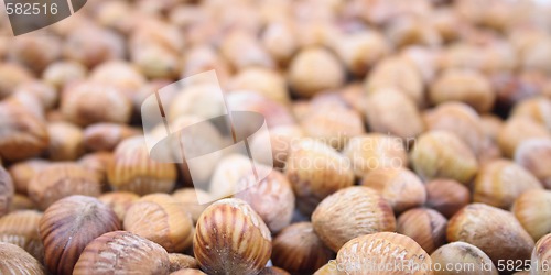 Image of hazel nuts