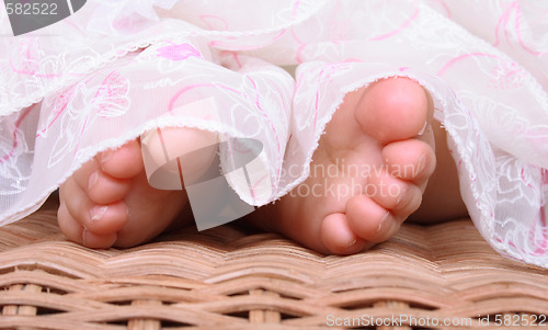 Image of legs