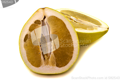 Image of Citrus grandis