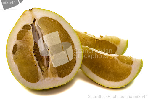 Image of Citrus grandis