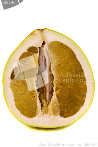 Image of Citrus grandis