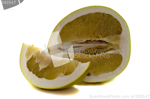 Image of Citrus grandis