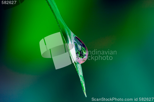 Image of Waterdrop on grass