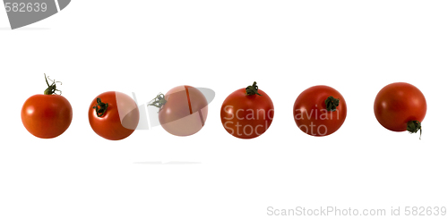 Image of Tomatos group