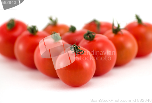 Image of Tomato group 