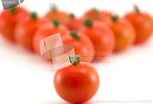 Image of Tomato group 