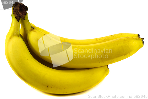 Image of Bunch of bananas isolated on white background