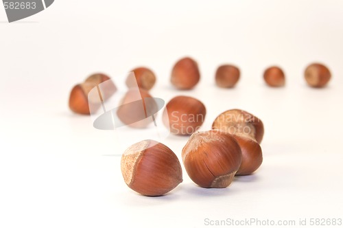Image of many nuts