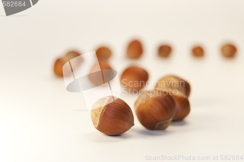 Image of many nuts